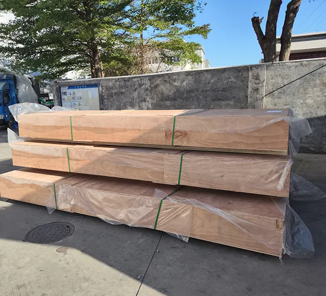 Fourniture de solutions de plateaux à dépression pour un client Japonais